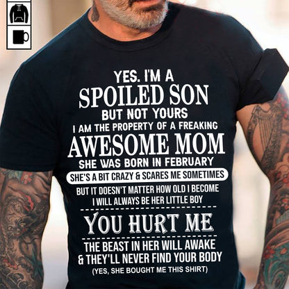 February - Awesome Mom Born In February - Special gift for Son From Mom - LUAN02 (SKU10-45-02)