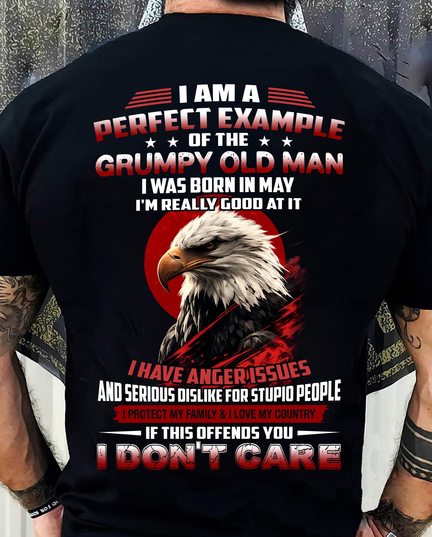 MAY - I AM A PERFECT EXAMPLE OF THE GRUMPY OLD MAN - T SHIRT FOR MEN - LUAN05 (SKU26T-01299-05)