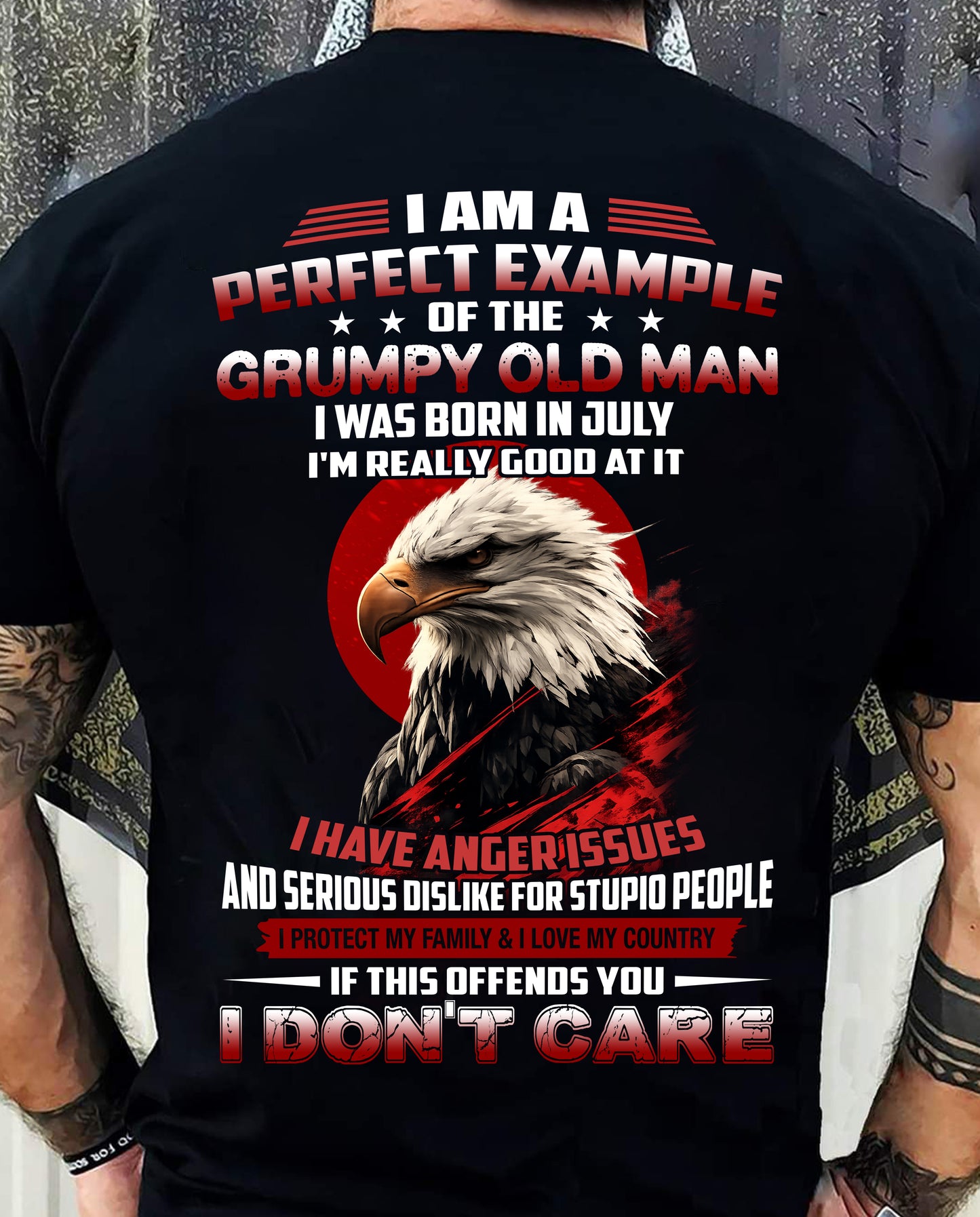 JULY - I AM A PERFECT EXAMPLE OF THE GRUMPY OLD MAN - T SHIRT FOR MEN - LUAN07 (SKU26T-01299-07)