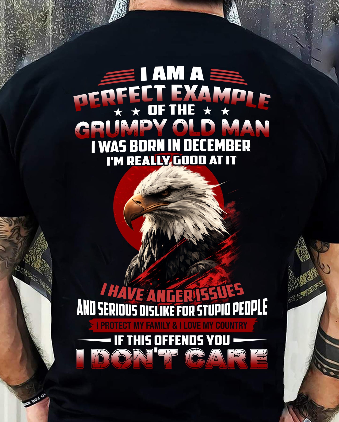 DECEMBER - I AM A PERFECT EXAMPLE OF THE GRUMPY OLD MAN - T SHIRT FOR MEN - LUAN12 (SKU26T-01299-12)