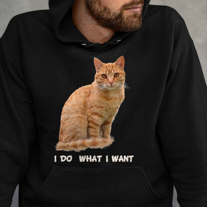 Cat Love Shirt, Funny Cat Lover Gift UnisexT-Shirt/Hoodie/Sweatshirt HLT00 - I Make What I Want Funny Orange Tabby Cat Lovers T-Shirt, Men, Orange, XX-Large