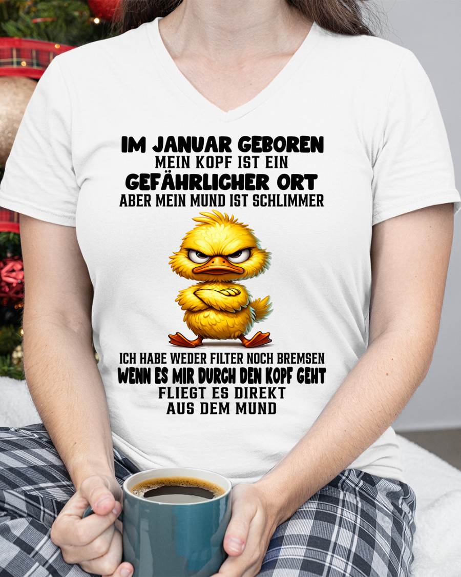 JANUAR, MEIN KOPF IST EIN GEFÄHRLICHER ORT - LUAN GER01 (SKU2605-381-01)