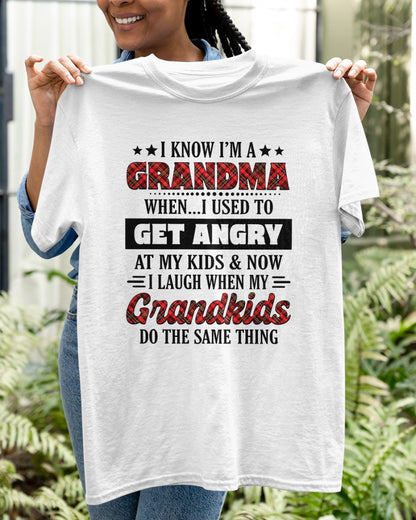 KNOW I'M A GRANDMA WHEN... I USED TO GET ANGRY AT MY KIDS & NOW I LAUGH WHEN MY GRANDKIDS DO THE SAME THING - from grandma LUAN00 (SKU07-111)
